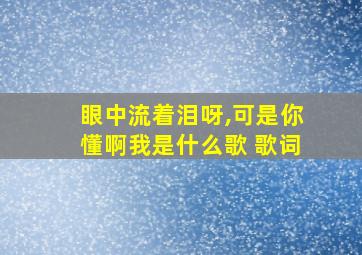 眼中流着泪呀,可是你懂啊我是什么歌 歌词